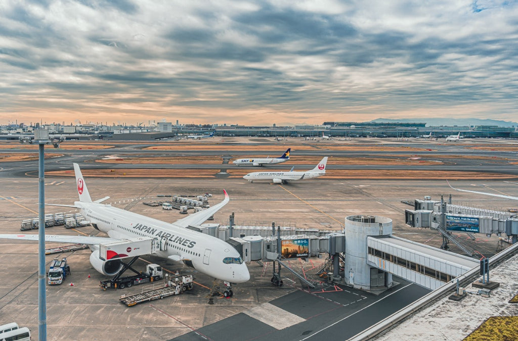 Comment bien préparer son voyage au Japon ?